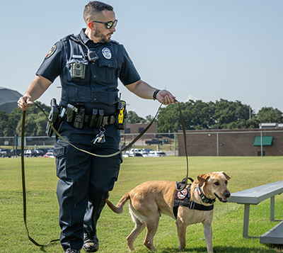 Officer Cioffi walks alongside K9 Watson