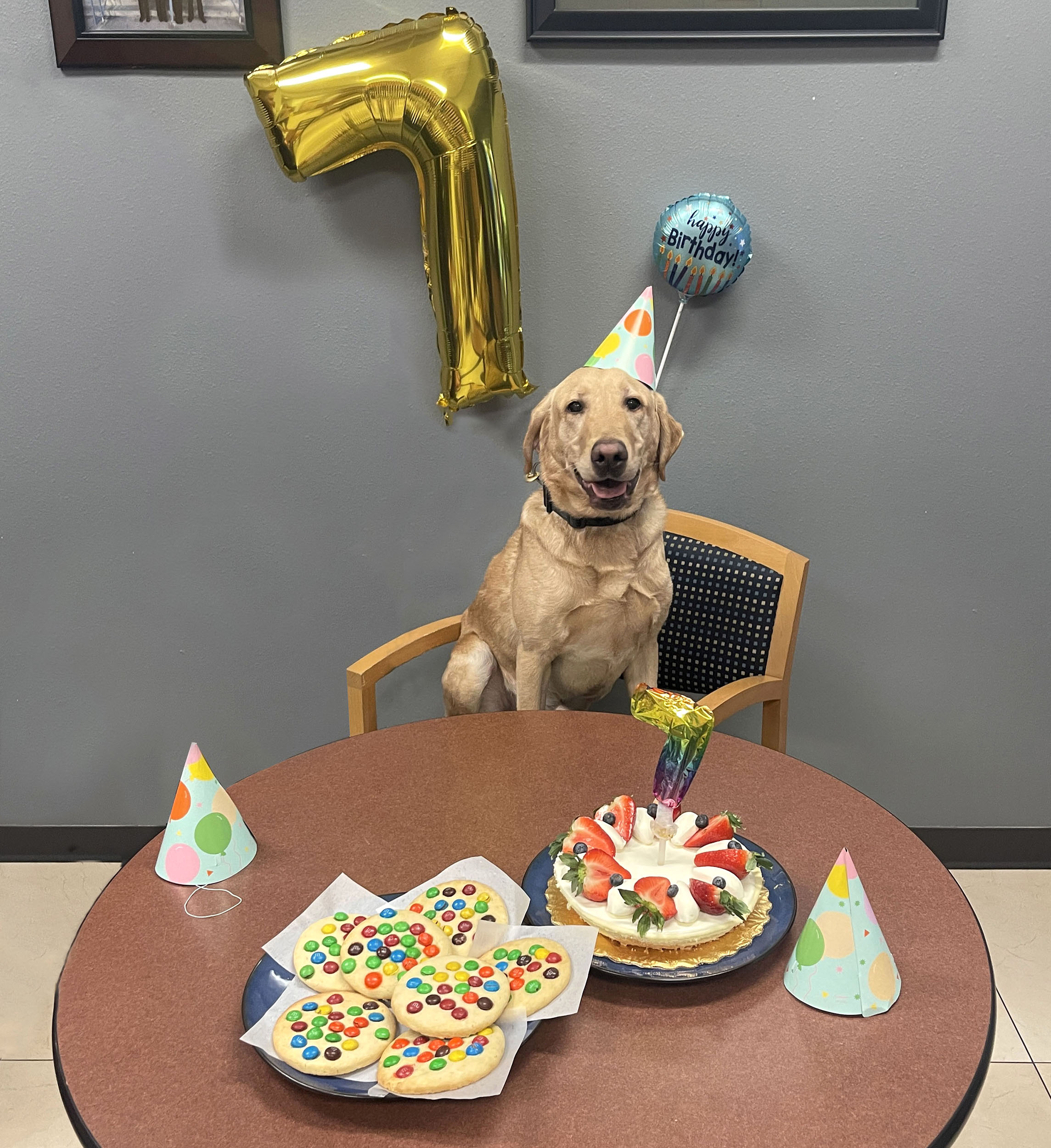 Keegan sitting on a chair with birthday cake on the table